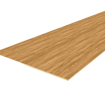 WhatsApp Image 2025-10-21 at 5.20.15 PM